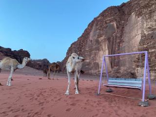 The heartbeat of the desert and the stars - Wadi Rum - 9