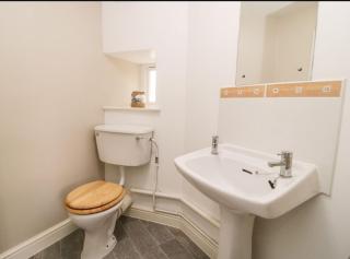Hand Apartment, Llanrwst, Conwy, Snowdonia - Llanrwst - 4