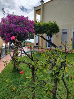 Luxury Casa Vacanze Vista Mare ad Acciaroli - Agnone - 0