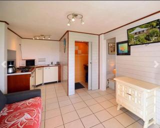 Appartement calme, proche plages ! - La Trinité - 4
