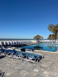 Sea Oats 401 - Beautiful 2 Bed 2 Bath Ocean Front Corner Unit - Prime Location! - St Pete Beach - 4