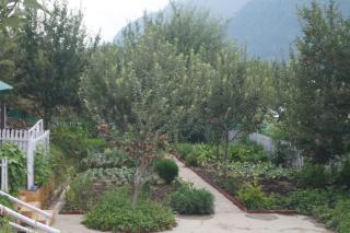 Enthralling Escapes Nature Stay and Trek - 5