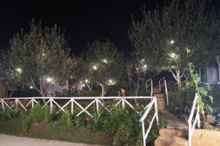 Enthralling Escapes Nature Stay and Trek - 7