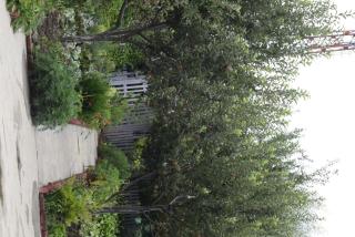 Enthralling Escapes Nature Stay and Trek - 8