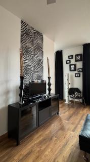 High Level Apartment - Mannheim - 8