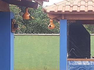 Chácara morro azul - São João Batista do Glória - 0