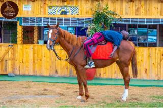 Rawhew Ranch - Kinamba-Naivasha - Naivasha - 5