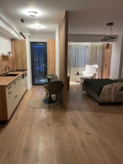 Studio Sara - Râmnicu Vâlcea - 0