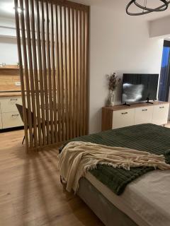 Studio Sara - Râmnicu Vâlcea - 1