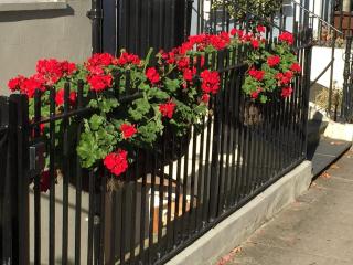 Captains Quarters 4 Apartment - 7