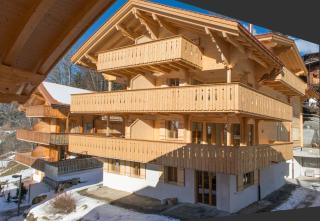 Panoramapark Soleil E 3 - Wengen - 8