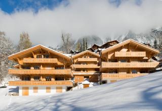 Panoramapark Soleil E 3 - Wengen - 4