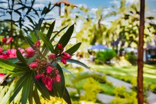 Black Pearl - Luxury Villa with private pool - near beach - Praia de Diani - 7