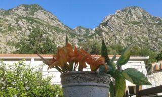 Apartments in Rustic House - Risan - 6