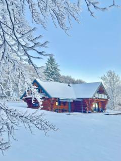 Wood log chalet - Yssingeaux - 7