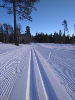 Astridstua - Åsnes - 2