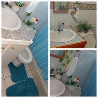 Peaceful Nest Apt 3 - Roseau - 9