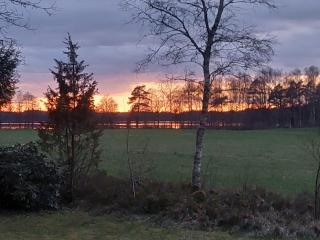 Haus Haberkorn im Smorland - Torseryd - 6