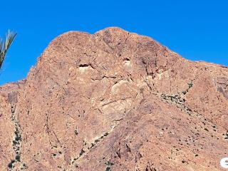 Maison Face au lion - 1