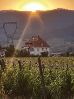 Gite Villa Turckheim - Turckheim - 1