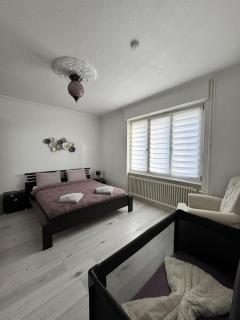 Appartement des 3 pays. 2 mn de Bâle+ Free parking - 6