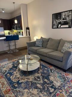 Apartment in East Downtown Houston - Houston - 4