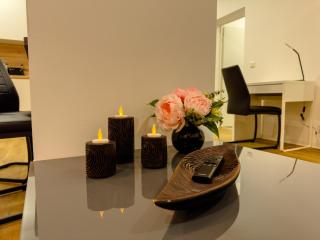 2-Raum City Appartement Jena - 8