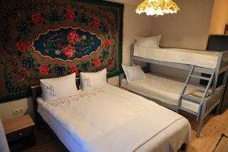 ECO Hotel Gagauz Sofrasi - Congaz - 7