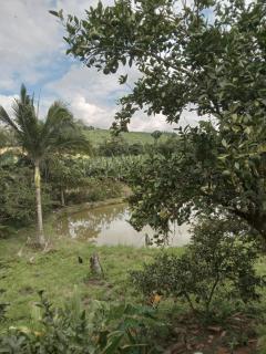 Vó lizete - Itaperiú - 5