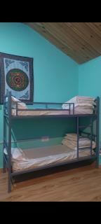 Area 51 cafe and farmstay kasol - 9