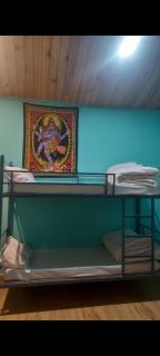 Area 51 cafe and farmstay kasol - 8