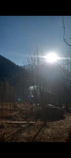 Area 51 cafe and farmstay kasol - 6