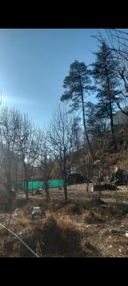 Area 51 cafe and farmstay kasol - 3