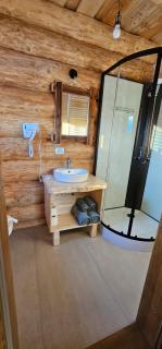 Chalet Gabriela - Şaru Dornei - 7