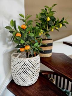 Villa JADE, VUE MER, PISCINE PRIVEE, PLAGE A PIEDS - 8