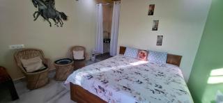 SAHASRA HOME STAY HAMPi - Hospet - 7
