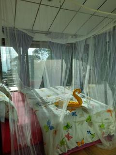 Jungle Lodge Santis Panama - 6