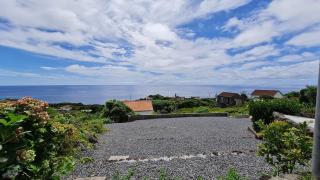 Adega da Figueira - Calheta de Nesquim - 3