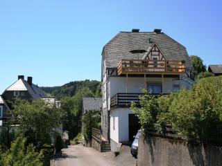 Ferienwohnung bei Willingen mit eigener Terrasse - 6