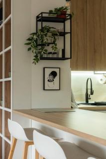 HostGost Selected Suites - K District - Belgrade - 8