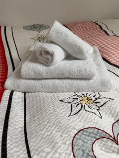 Ferienwohnung in Mörel - Mörel - 3