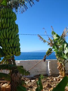 Finca Don Victor - Playa de San Juan - 5