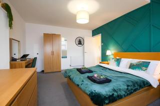 Modern Spacious Apartment Steps from City Centre - 6