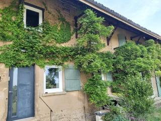 Beautiful renovated farmhouse of 250m with 3400m of garden - Saint-Savin - 7