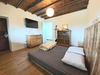 Beautiful renovated farmhouse of 250m with 3400m of garden - Saint-Savin - 5
