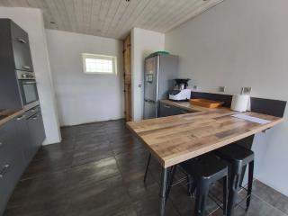 Beautiful renovated farmhouse of 250m with 3400m of garden - Saint-Savin - 3