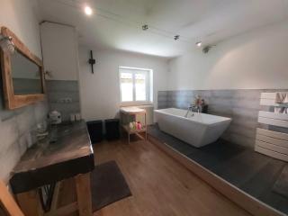 Beautiful renovated farmhouse of 250m with 3400m of garden - Saint-Savin - 2