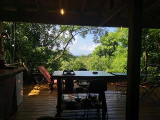 cabane entre les arbres - 9