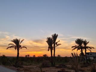 Al Boustane - Sous les Palmiers - 6