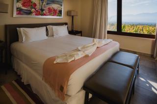 Piattelli Wine Resort Hotel Cafayate - Cafayate - 8